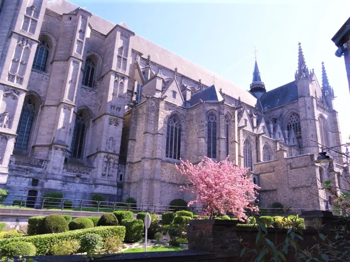 Sainte-Waudru, Mons