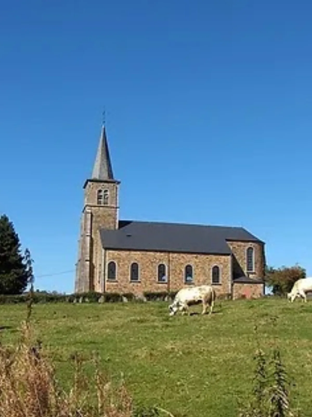 Saint-Charles, Bossière
