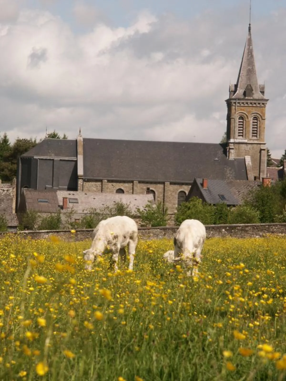 Saint-Martin, Le Mesnil