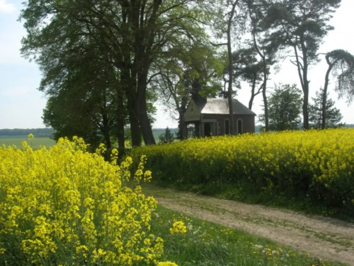Saint-Pierre, Morialmé