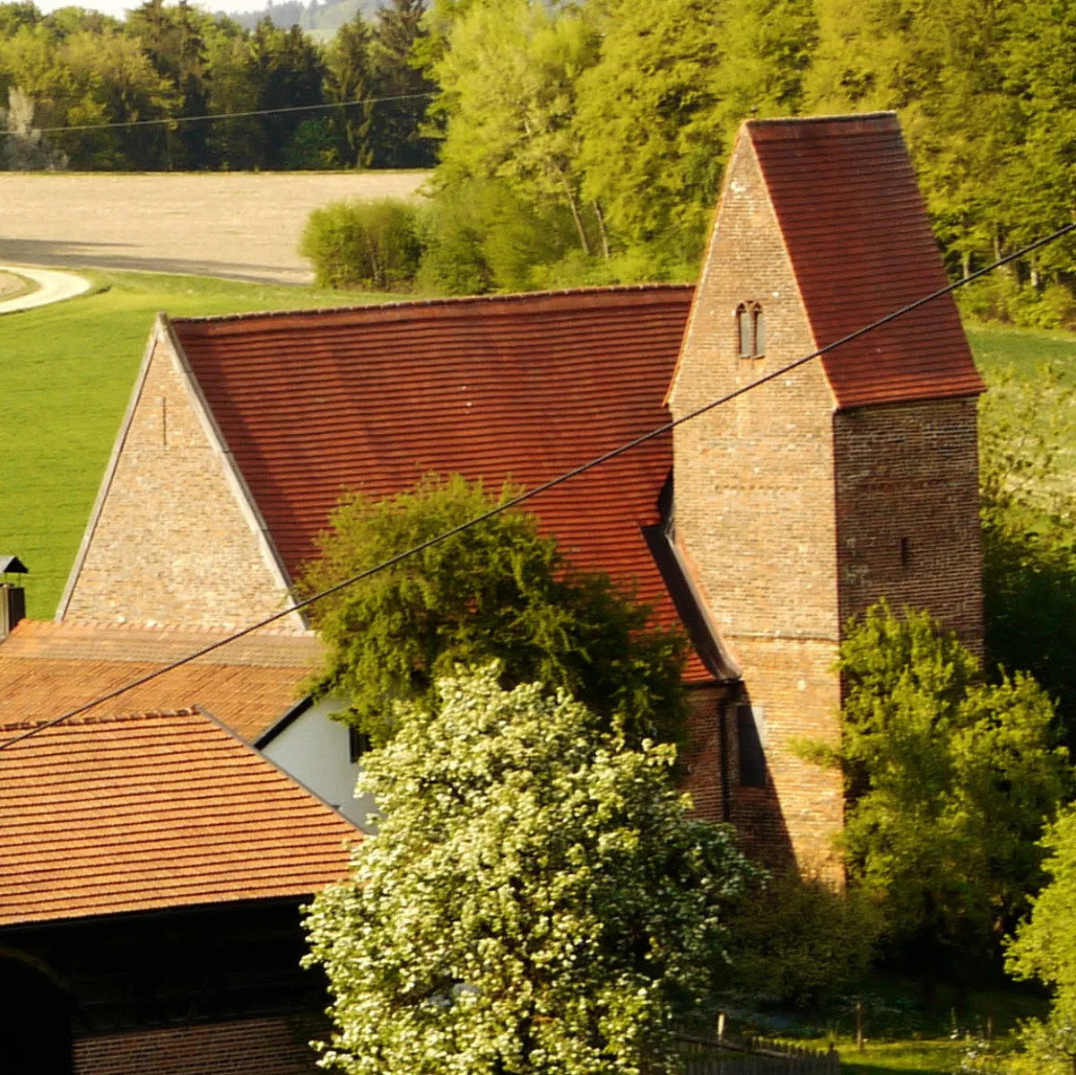 St. Vitus, Reischach