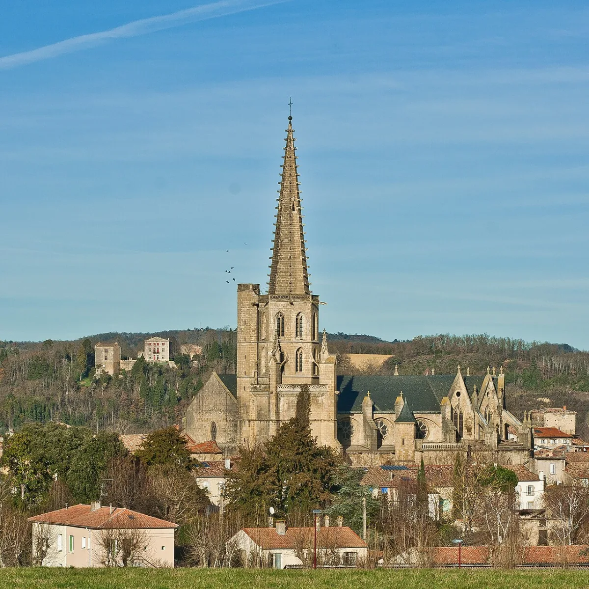Cathédrale Saint Maurice, Mirepoix