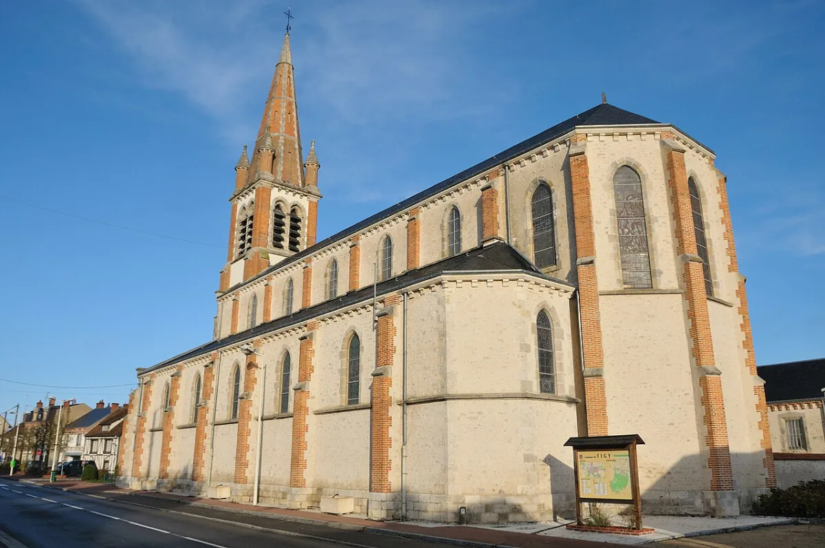 Saint Martin, Tigy