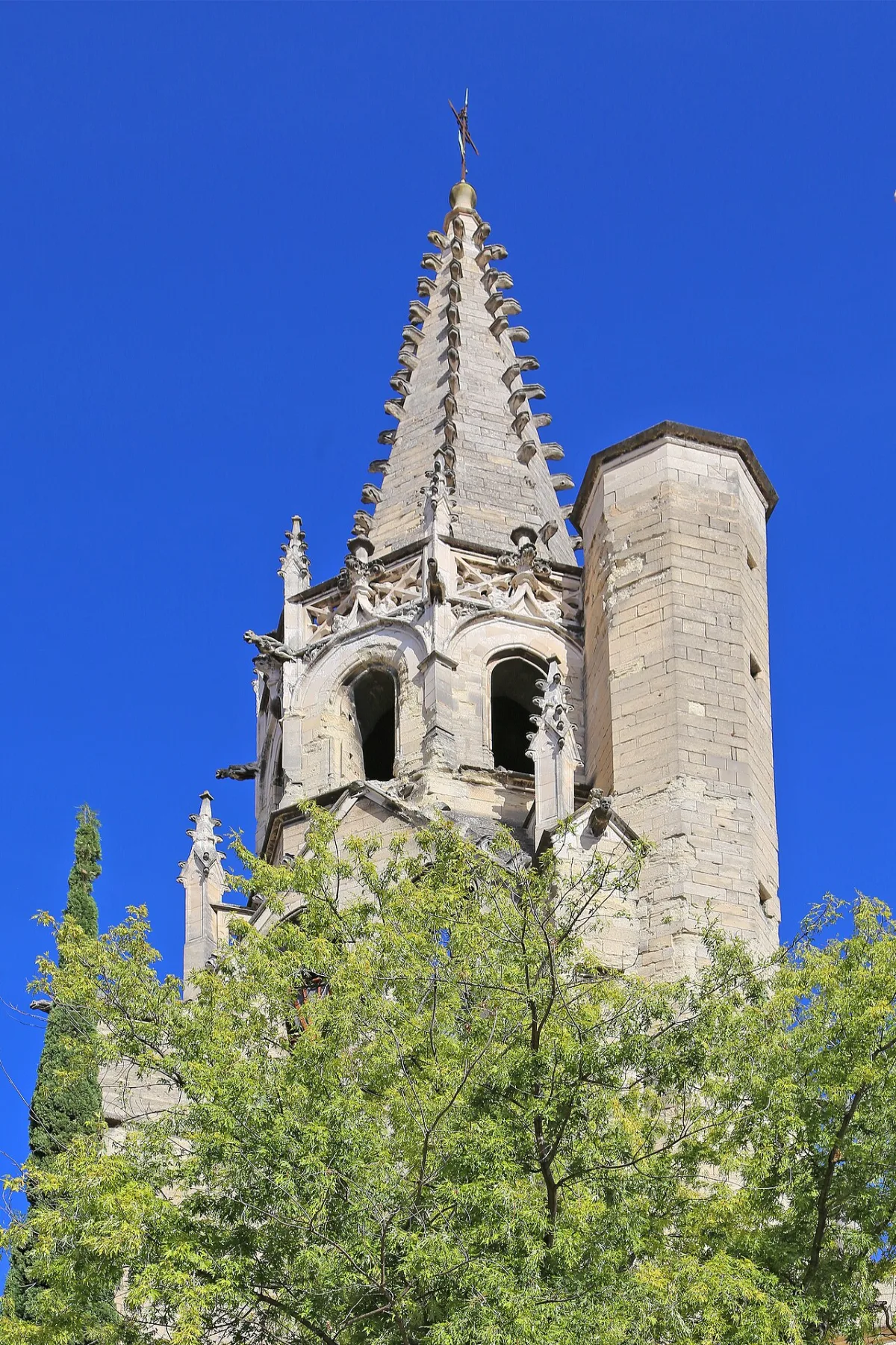 Basilique Saint Pierre, Avignon